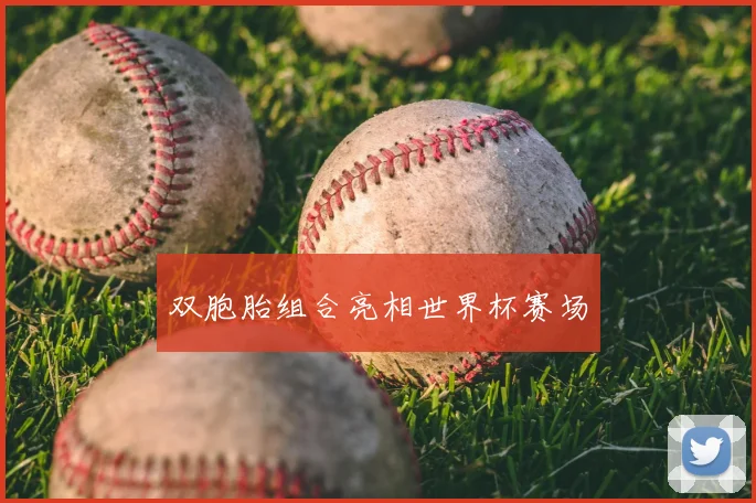 双胞胎组合亮相世界杯赛场