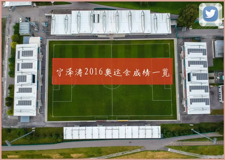 宁泽涛2016奥运会成绩一览