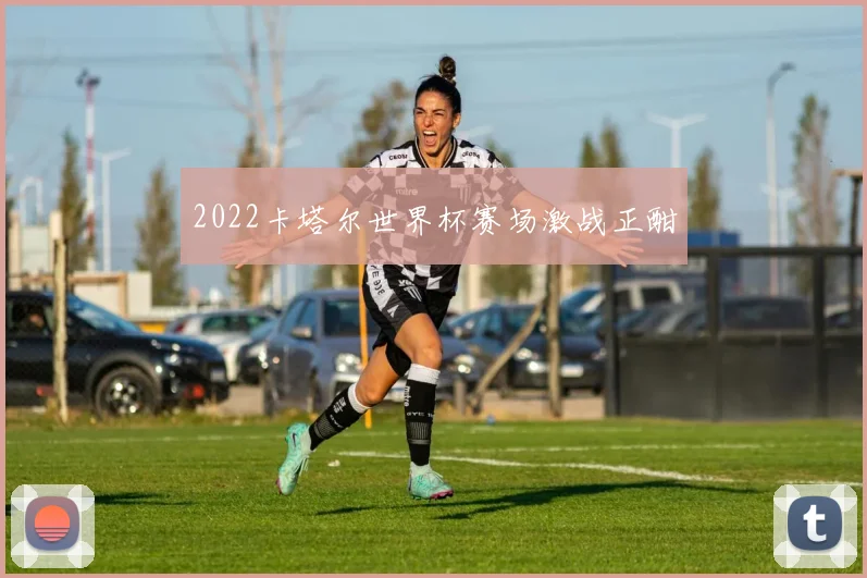 2022卡塔尔世界杯赛场激战正酣
