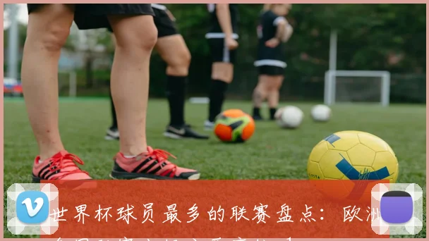 世界杯球员最多的联赛盘点：欧洲多国联赛占据主要席位_1
