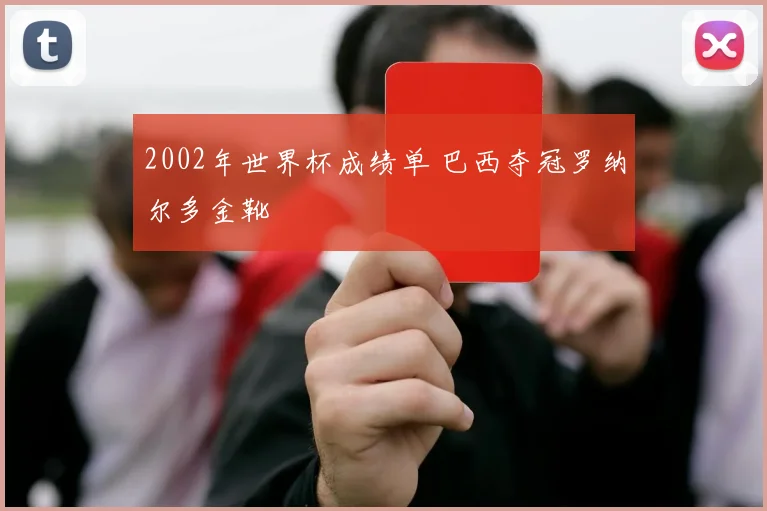 2002年世界杯成绩单 巴西夺冠罗纳尔多金靴