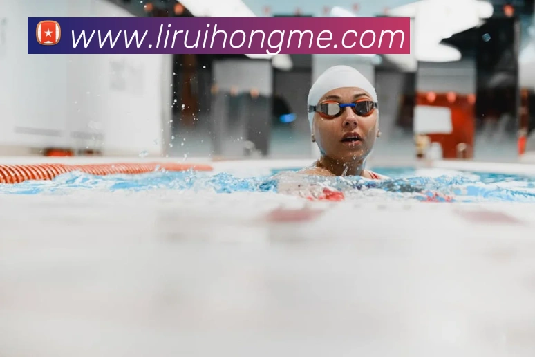 世界杯app官网服务体系